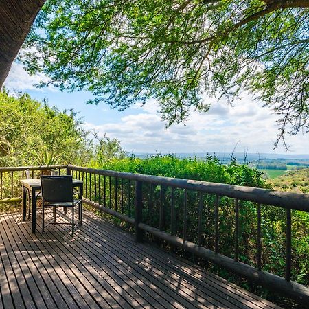 Hitgeheim Country Lodge Addo Eksteriør billede