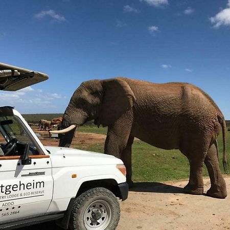 Hitgeheim Country Lodge Addo Eksteriør billede