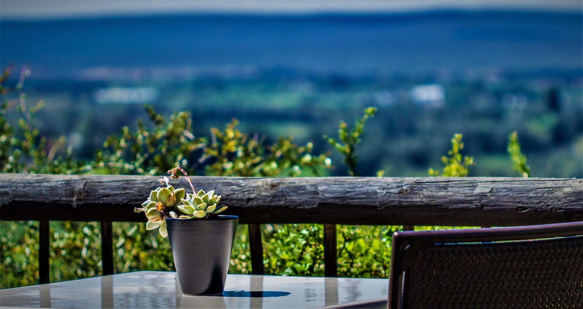 Hitgeheim Country Lodge Addo Eksteriør billede